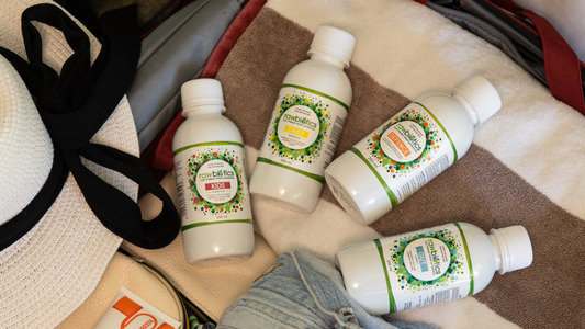 How To Support Your Gut While Travelling This Holiday